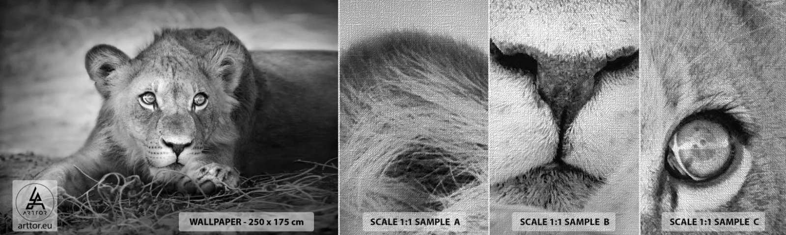 Échantillon de Papier Peint Premium Canvas - Chiot royal - Animaux, Lion, Noir et blanc - 100x30 cm