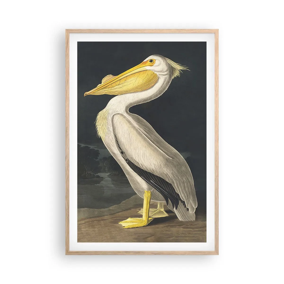 Affiche dans un chêne clair - Poster - Plein de fierté - 61x91 cm