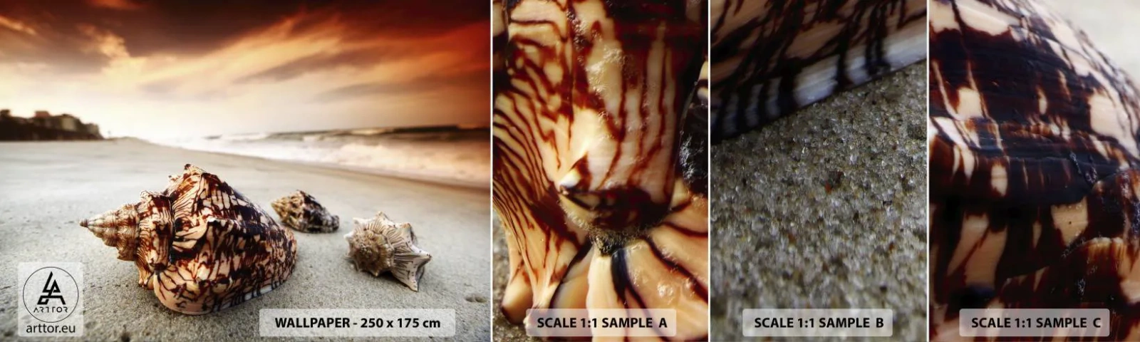 Échantillon De Papier Peint Standard Eco - Les parias des vagues - Paysage, Mer, Coquillage - 100x30 cm