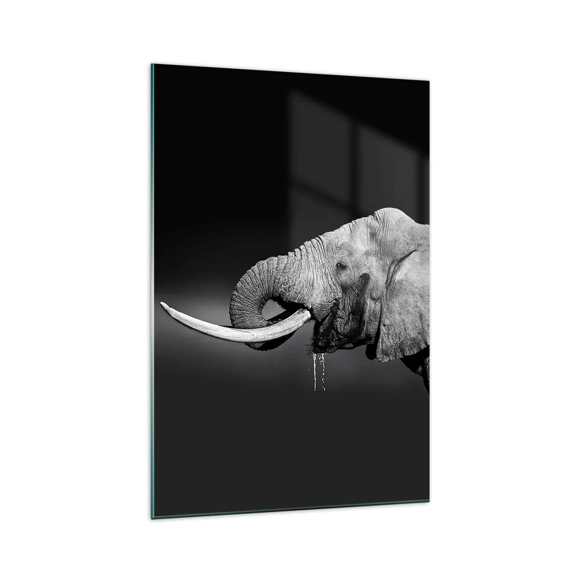 Impression sur verre - Image sur verre - Portrait noir et blanc d'un éléphant de profil - 70x100cm - Oui, c'est bon maintenant - Décoration murale moderne pour le salon et la chambre ARTTOR