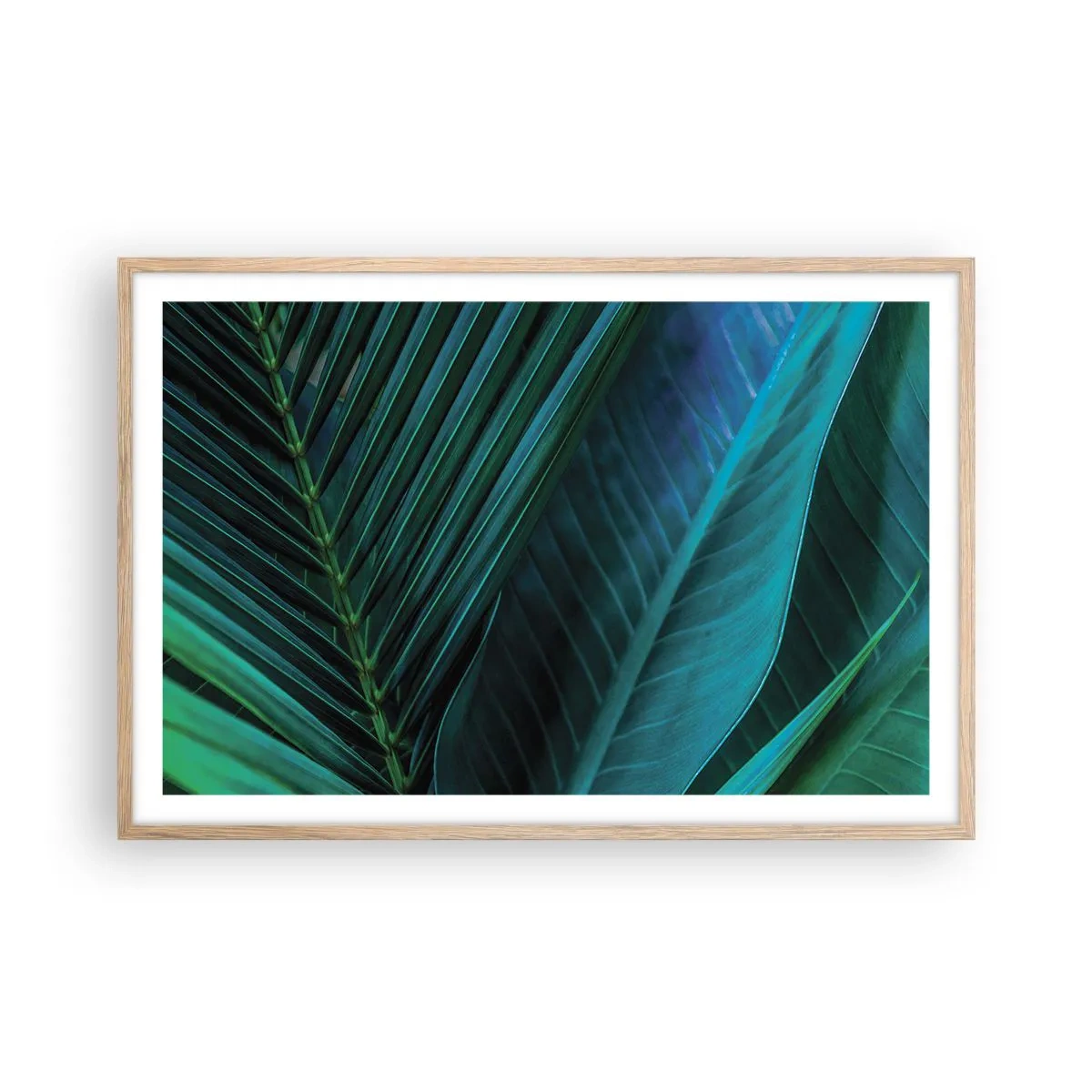 Affiche dans un chêne clair - Poster - L'anatomie du vert - 91x61 cm