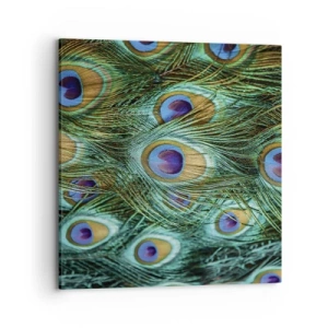 Impression sur toile - Image sur toile - Un regard de paon - 70x70 cm