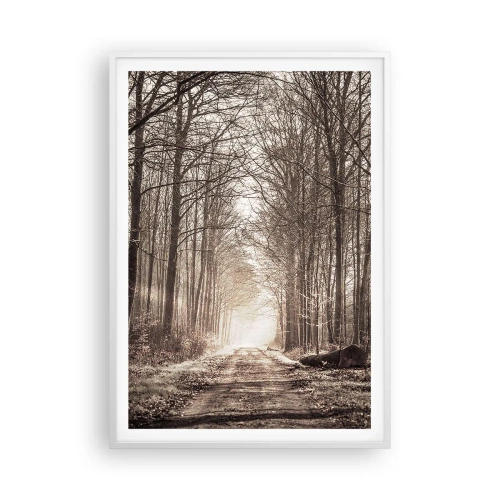 Affiche dans un cadre blanc - Poster - Cathédrale de la forêt - 70x100 cm
