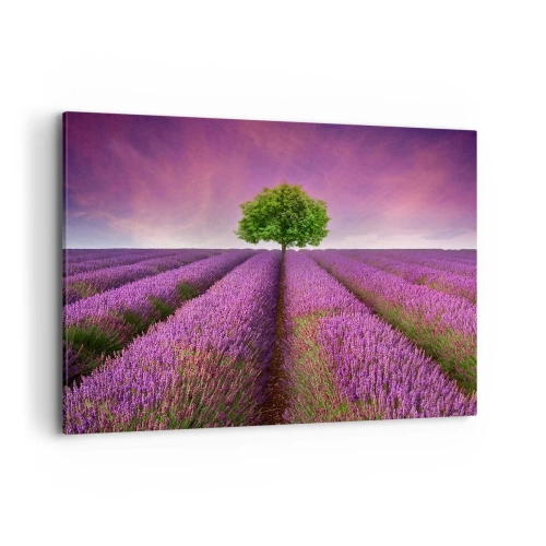 Impression sur toile - Image sur toile - Un champ de lavande avec un arbre solitaire et un ciel violet - 100x70cm - Dans un champs de lavande - Décoration murale moderne pour le salon et la chambre ARTTOR