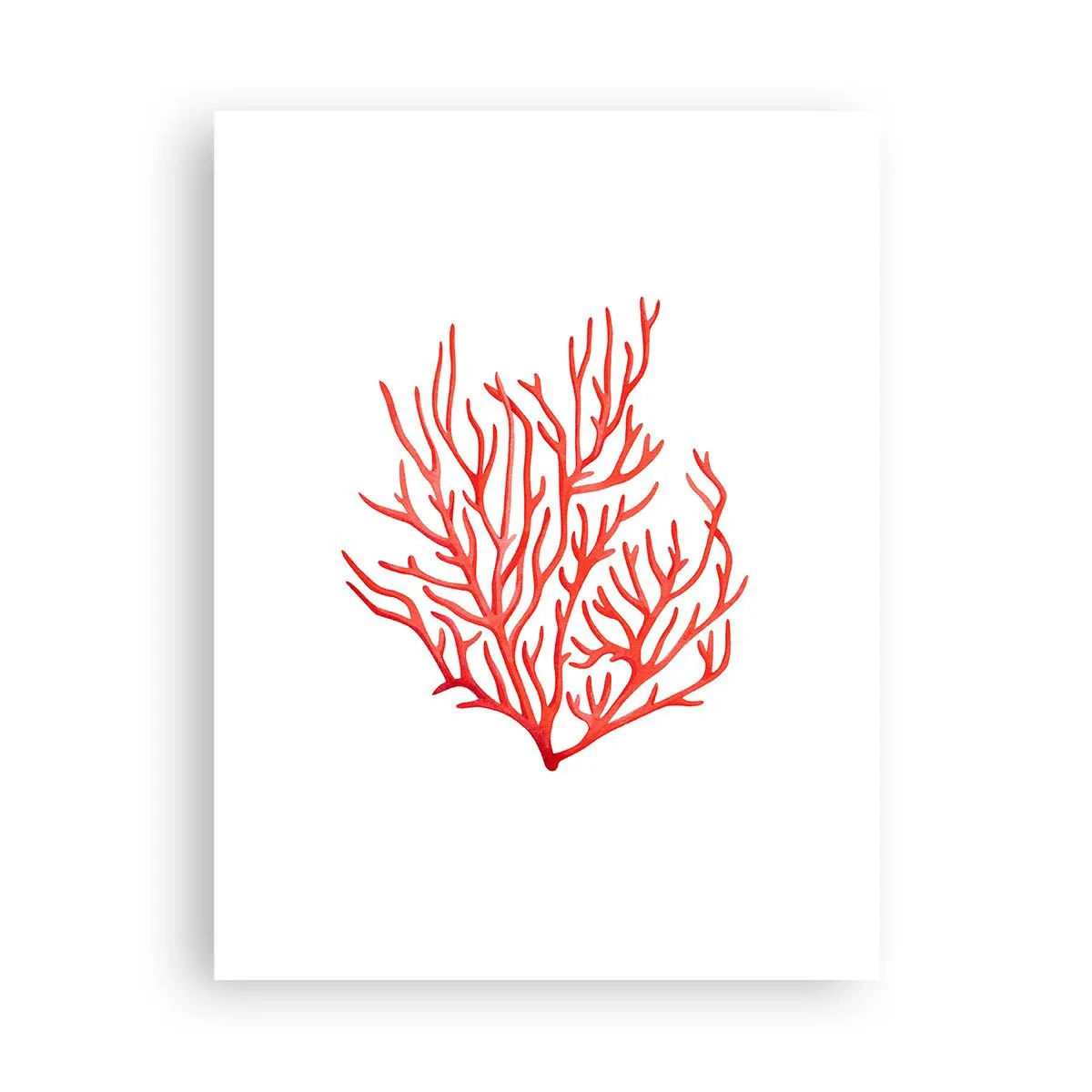 Affiche - Poster - Filigrane de corail - 30x40 cm