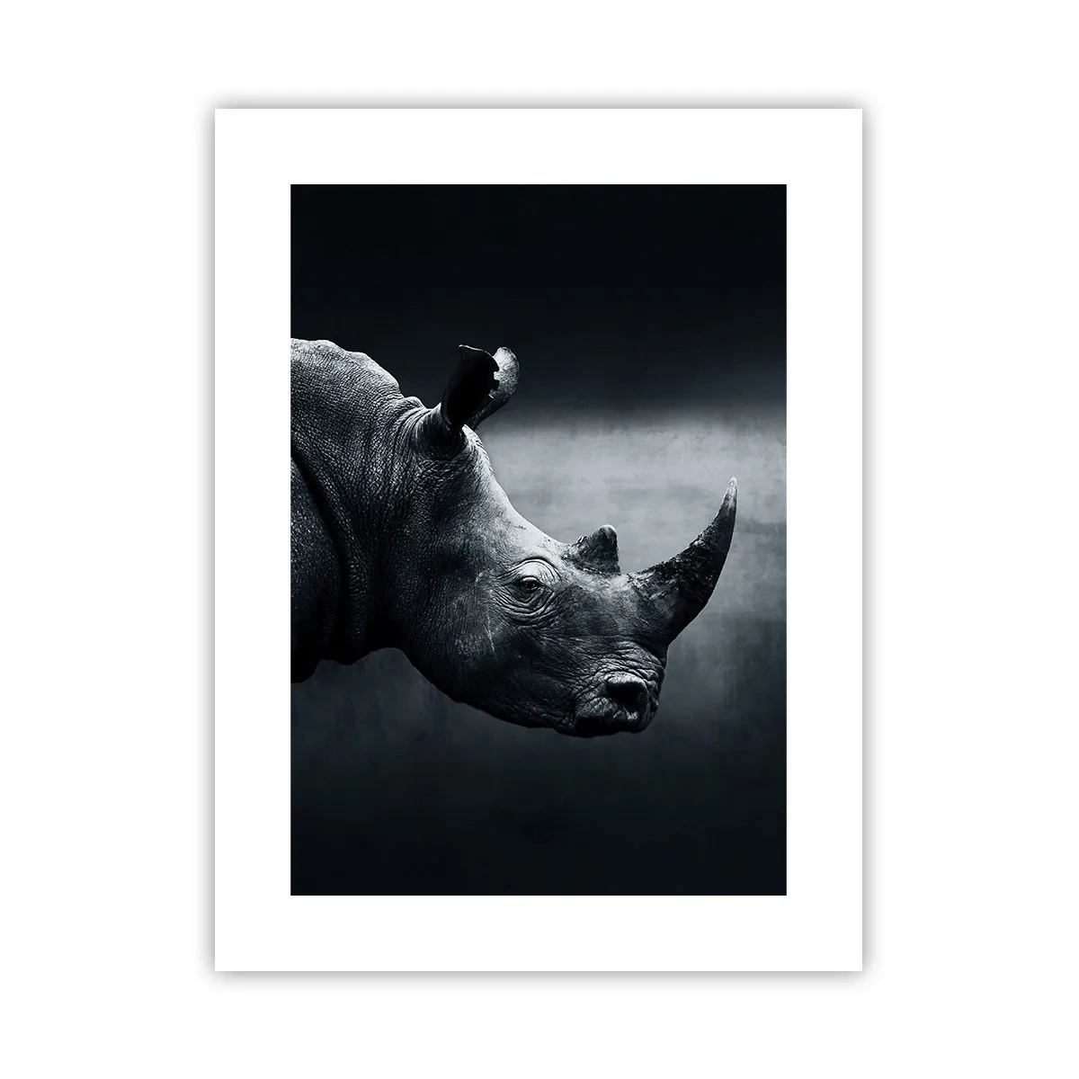 Affiche - Poster - Le profil droit - 30x40 cm
