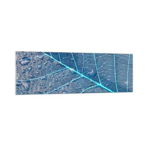 Impression sur verre - Image sur verre - Une feuille dans des tons bleus avec des gouttes d'eau - 160x50cm - La vie en bleu - Décoration murale moderne pour le salon et la chambre ARTTOR