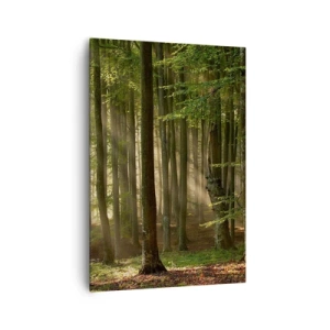 Impression sur toile - Image sur toile - Les rayons du soleil pénètrent à travers les arbres de la forêt - 70x100cm - Rayon d'un matin de printemps - Décoration murale moderne pour le salon et la chambre ARTTOR