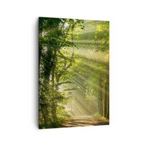 Impression sur toile - Image sur toile - Chemin forestier avec les rayons du soleil qui brillent à travers les arbres - 50x70cm - Moment de forêt - Décoration murale moderne pour le salon et la chambre ARTTOR