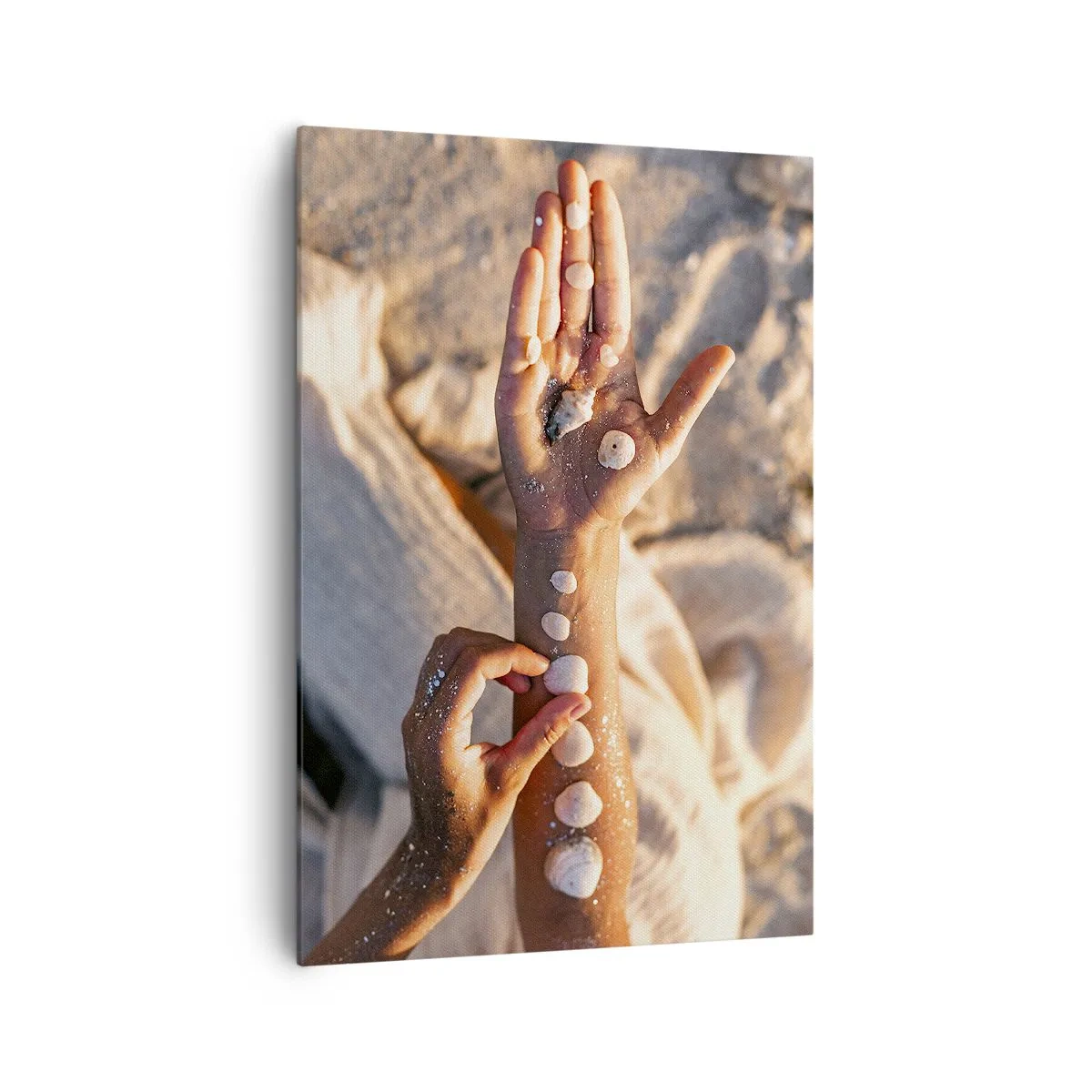 Impression sur toile - Image sur toile - Mains avec des coquillages disposés sur le fond de sable - 70x100cm - La beauté à portée de main - Décoration murale moderne pour le salon et la chambre ARTTOR