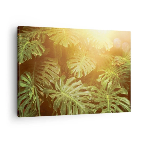 Impression sur toile - Image sur toile - Feuilles de Monstera au soleil sur fond naturel - 70x50cm - Se fondre dans la verdure - Décoration murale moderne pour le salon et la chambre ARTTOR