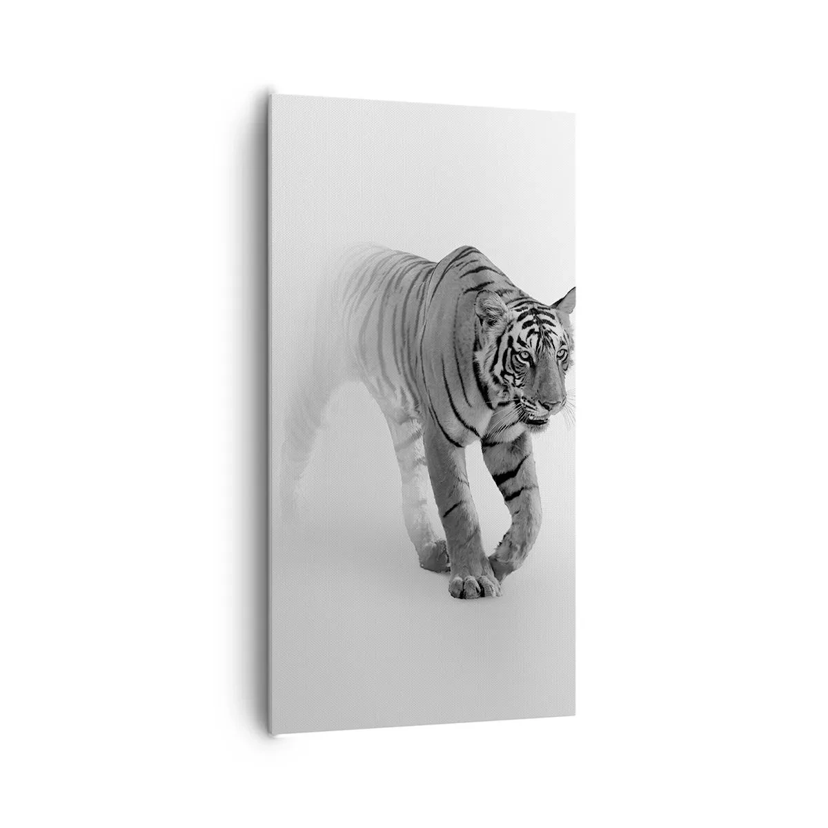 Impression sur toile - Image sur toile - Accroupi dans le brouillard - 65x120 cm