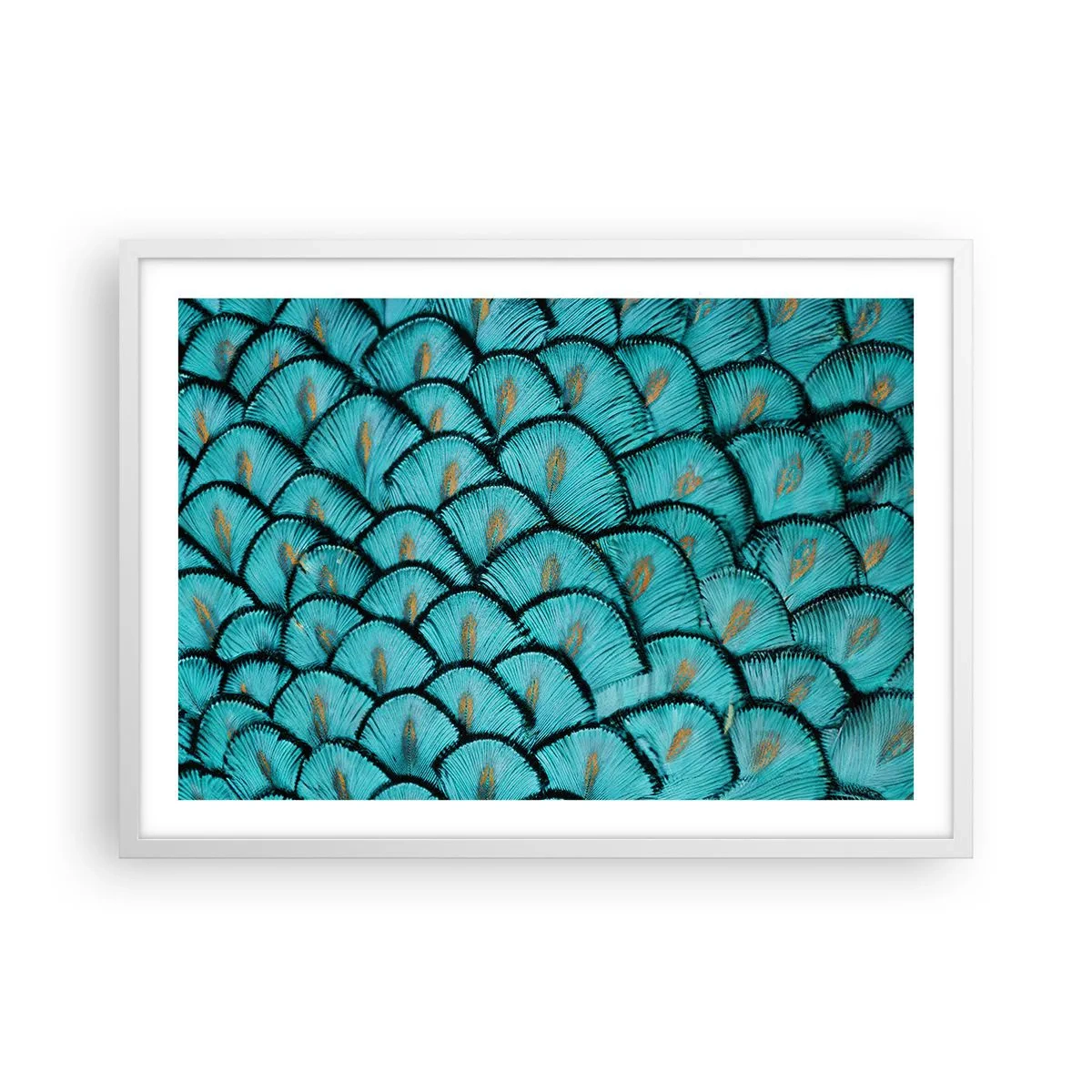 Affiche dans un cadre blanc - Poster - Le grand gala des plumes - 70x50 cm