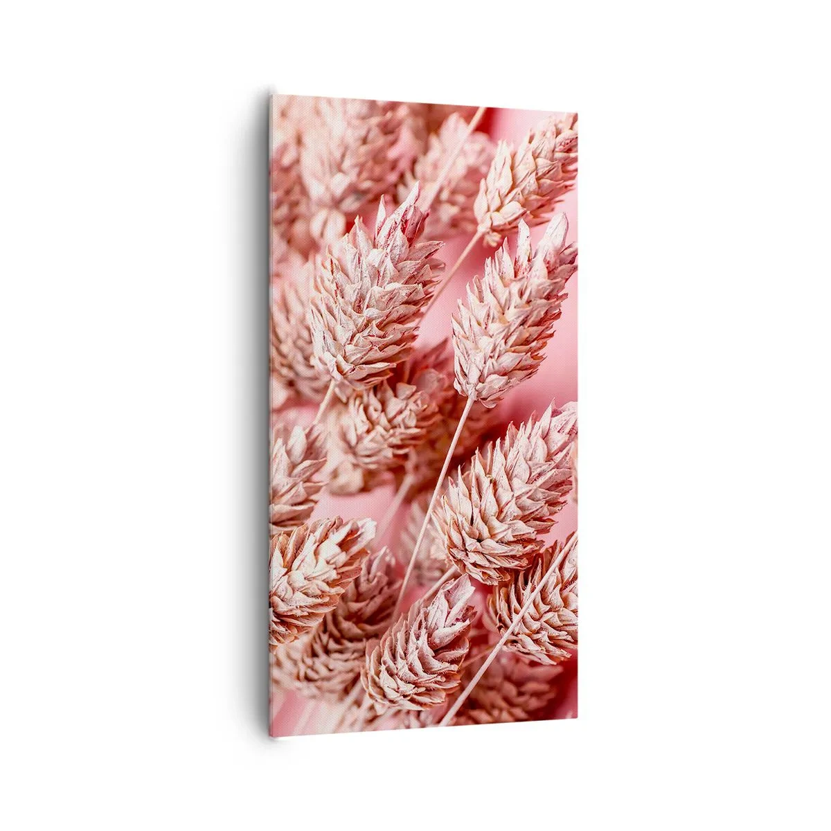 Impression sur toile - Image sur toile - Une cascade florale en rose - 65x120 cm