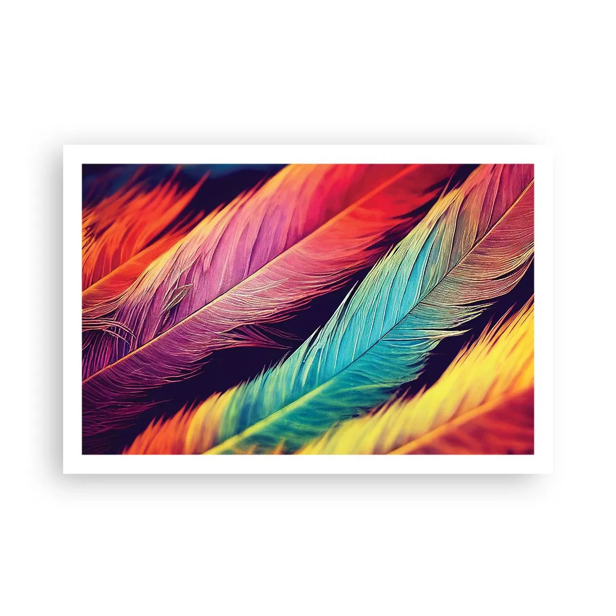 Affiche - Poster - Arc-en-ciel de plumes - 91x61 cm