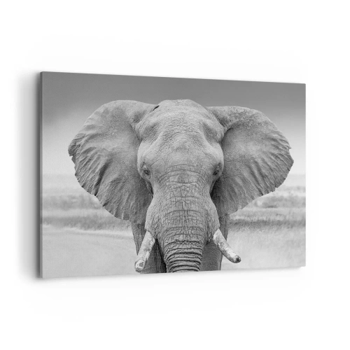 Impression sur toile - Image sur toile - Portrait d'un éléphant en noir et blanc - 100x70cm - Bienvenue dans mon monde - Décoration murale moderne pour le salon et la chambre ARTTOR