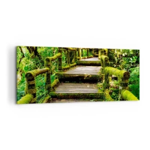 Impression sur toile - Image sur toile - Un couloir de verdure - 100x40 cm