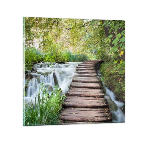 Impression sur verre - Image sur verre - L'eau n'est pas si calme - 50x50 cm