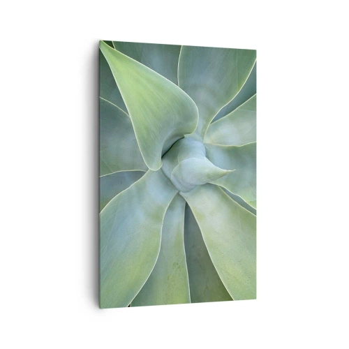 Impression sur toile - Image sur toile - Feuilles d'agave subtiles dans des tons verts - 80x120cm - La naissance de la verdure - Décoration murale moderne pour le salon et la chambre ARTTOR