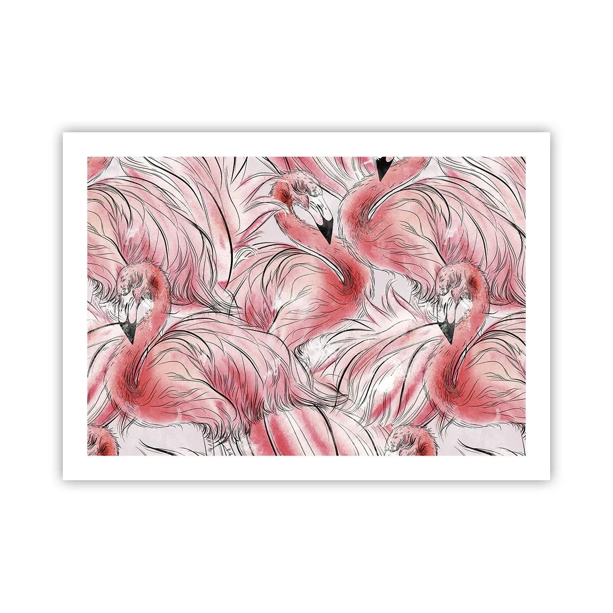 Affiche - Poster - Oiseau corps de ballet - 70x50 cm