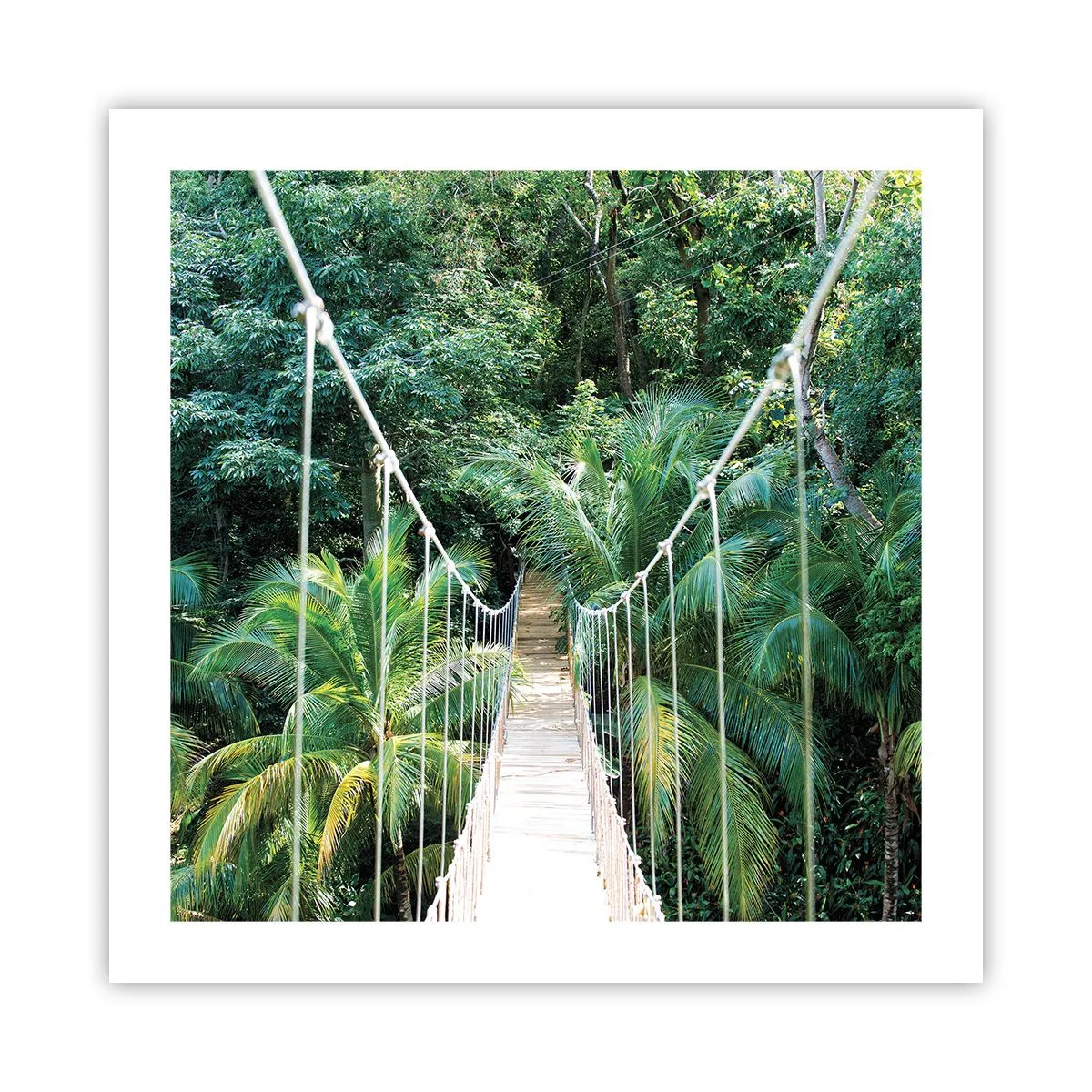 Affiche - Poster - Welcome to the jungle! - 50x50 cm