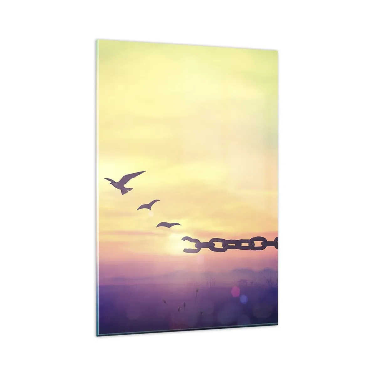 Impression sur verre - Image sur verre - Symbole de liberté avec des oiseaux et une chaîne brisée - 80x120cm - La victoire de la liberté - Décoration murale moderne pour le salon et la chambre ARTTOR