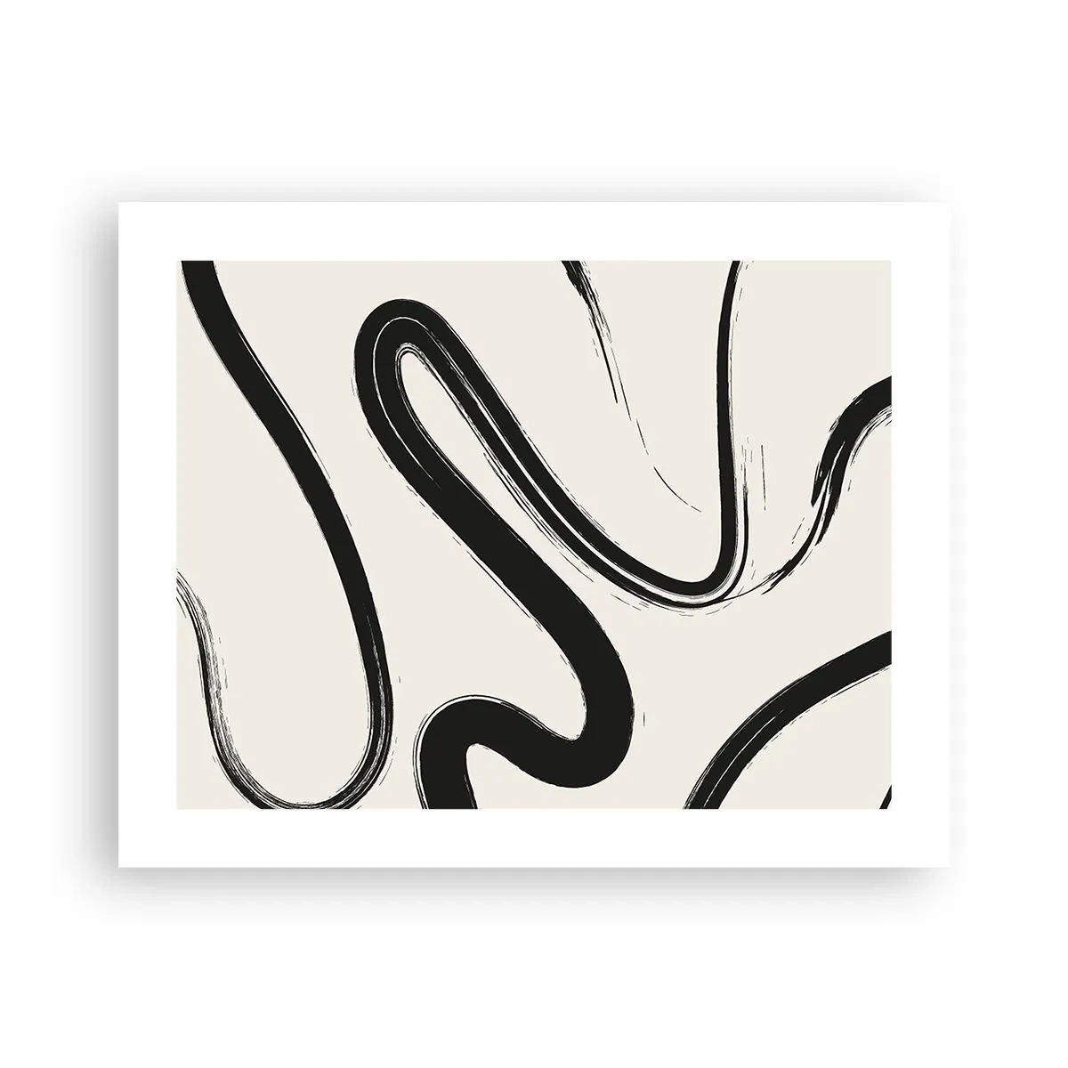 Affiche - Poster - Fantaisie en noir et blanc - 50x40 cm