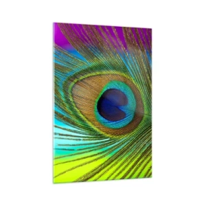 Impression sur verre - Image sur verre - Gros plan d'une plume de paon aux couleurs vives - 70x100cm - Les yeux dans les yeux - Décoration murale moderne pour le salon et la chambre ARTTOR