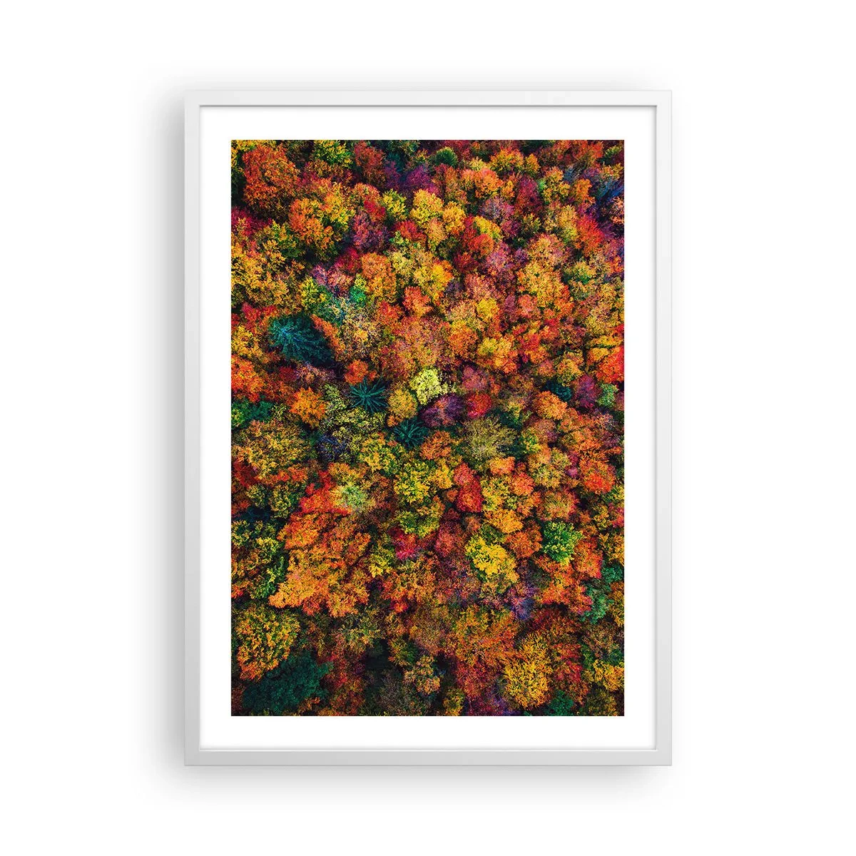 Affiche dans un cadre blanc - Poster - Bouquet d'arbres automnal - 50x70 cm