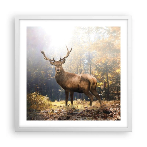 Affiche dans un cadre blanc - Poster - Toute sa majesté - 50x50 cm