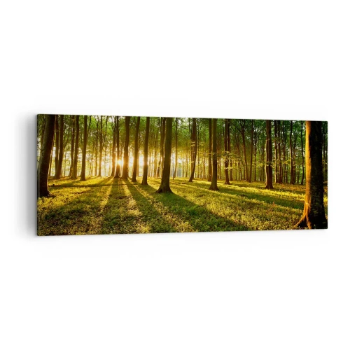 Impression sur toile - Image sur toile - Le soleil couchant dans la forêt de feuillus - 140x50cm - Toutes les photographies de printemps - Décoration murale moderne pour le salon et la chambre ARTTOR