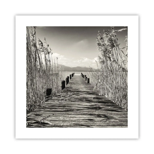 Affiche - Poster - Dans le calme de l'herbe - 40x40 cm