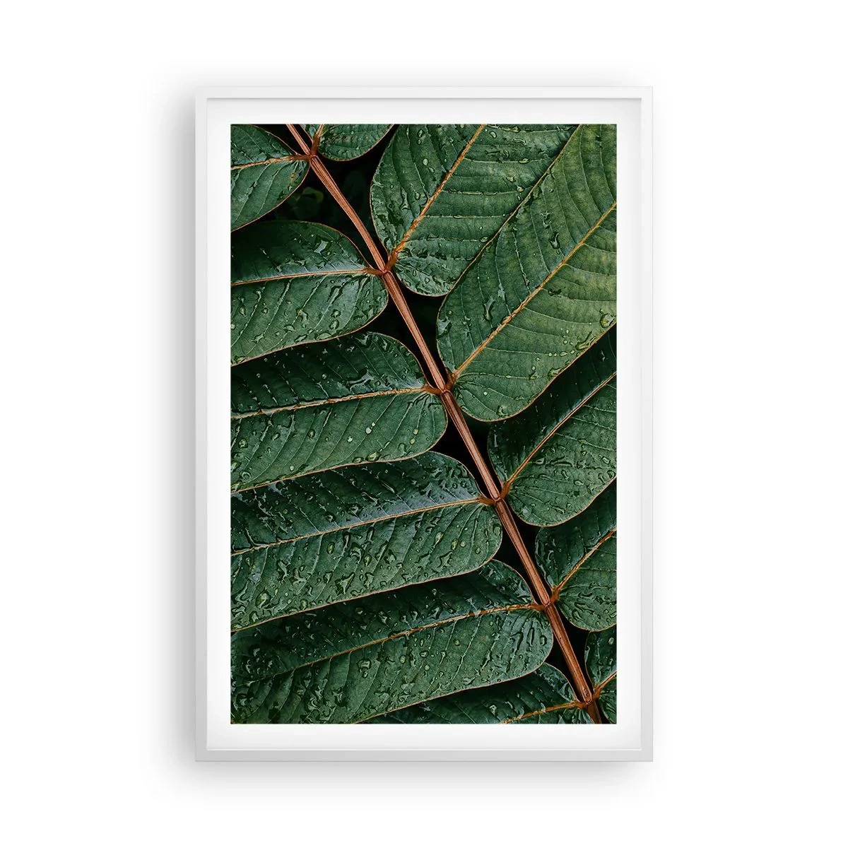 Affiche dans un cadre blanc - Poster - Au rythme de la verdure - 61x91 cm