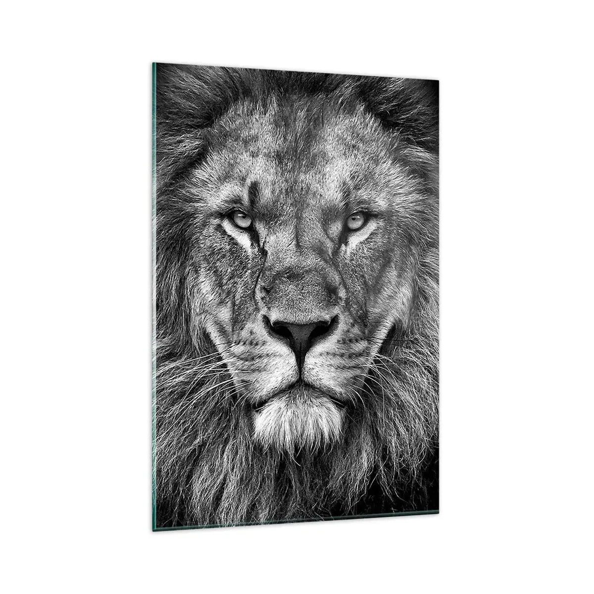 Impression sur verre - Image sur verre - Portrait d'un lion majestueux en noir et blanc - 80x120cm - En vêtement de sacre - Décoration murale moderne pour le salon et la chambre ARTTOR