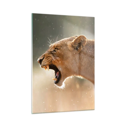 Impression sur verre - Image sur verre - Gros plan d'un lion rugissant sous les rayons du soleil - 50x70cm - Essayez  de ne pas écouter - Décoration murale moderne pour le salon et la chambre ARTTOR