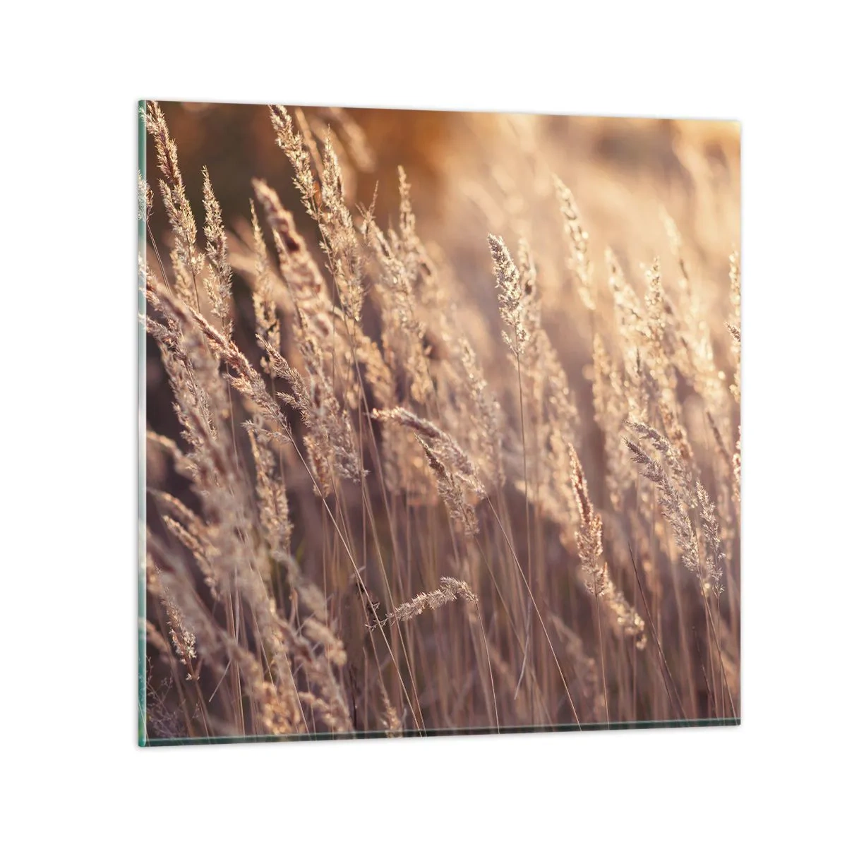 Impression sur verre - Image sur verre - Prêt à accueillir l'automne - 60x60 cm