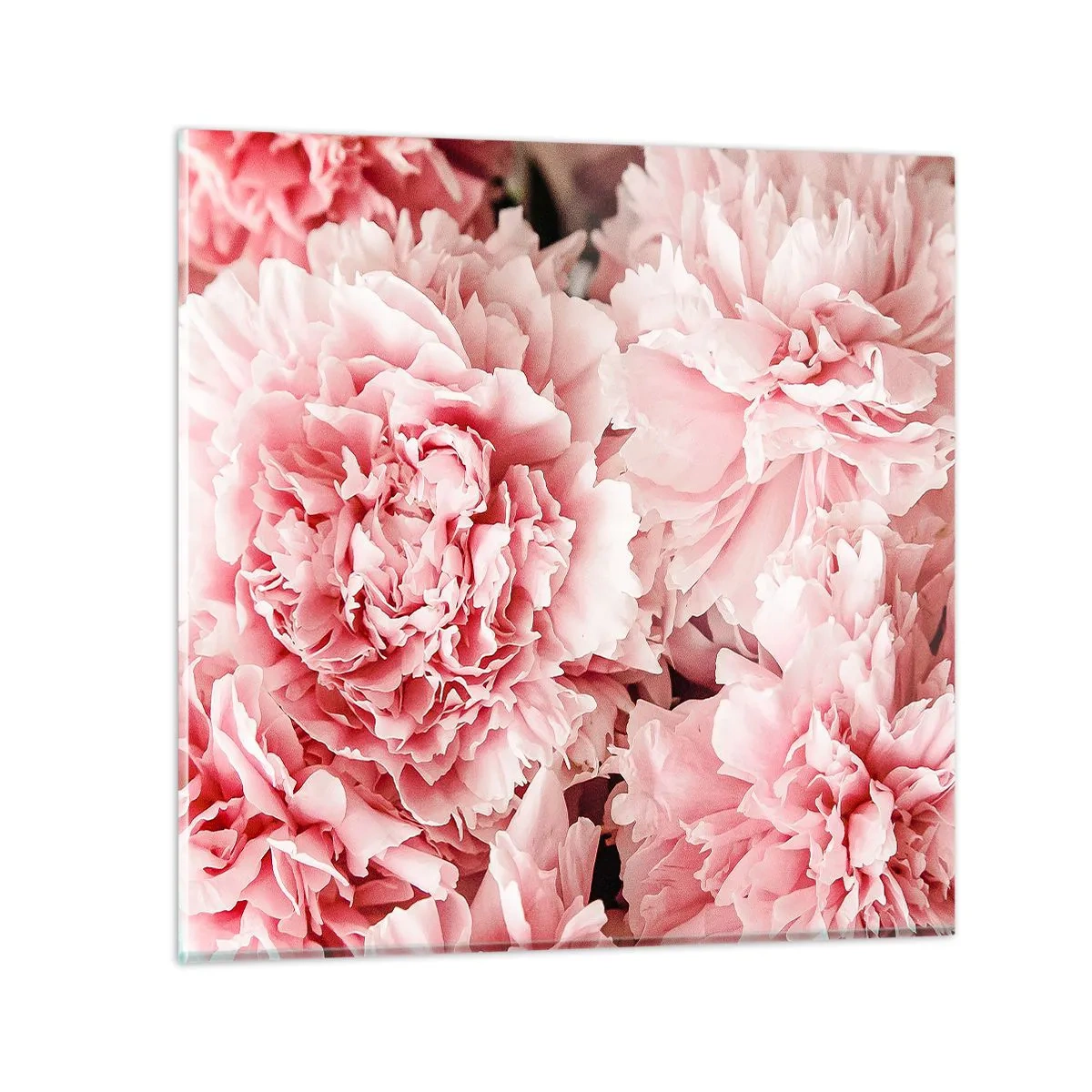 Impression sur verre - Image sur verre - Rêve rose - 30x30 cm