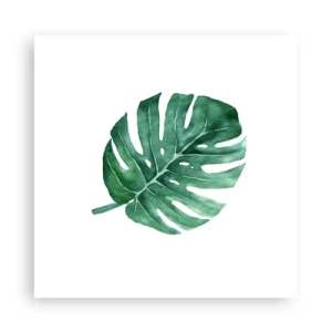 Affiche - Poster - Concept vert - 30x30 cm
