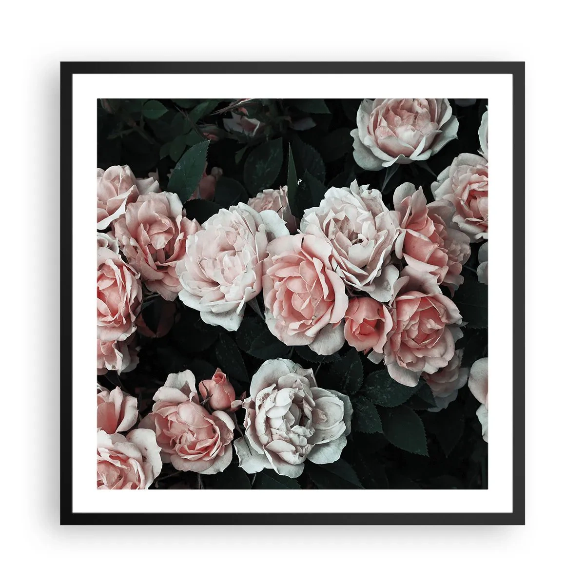 Affiche dans un cadre noir - Poster - Ensemble de rose - 60x60 cm