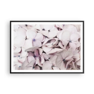 Affiche dans un cadre noir - Poster - Hortensias blancs délicats aux tons pastel - 100x70cm - Dans un flot de fleurs - Décoration murale moderne pour le salon et la chambre ARTTOR