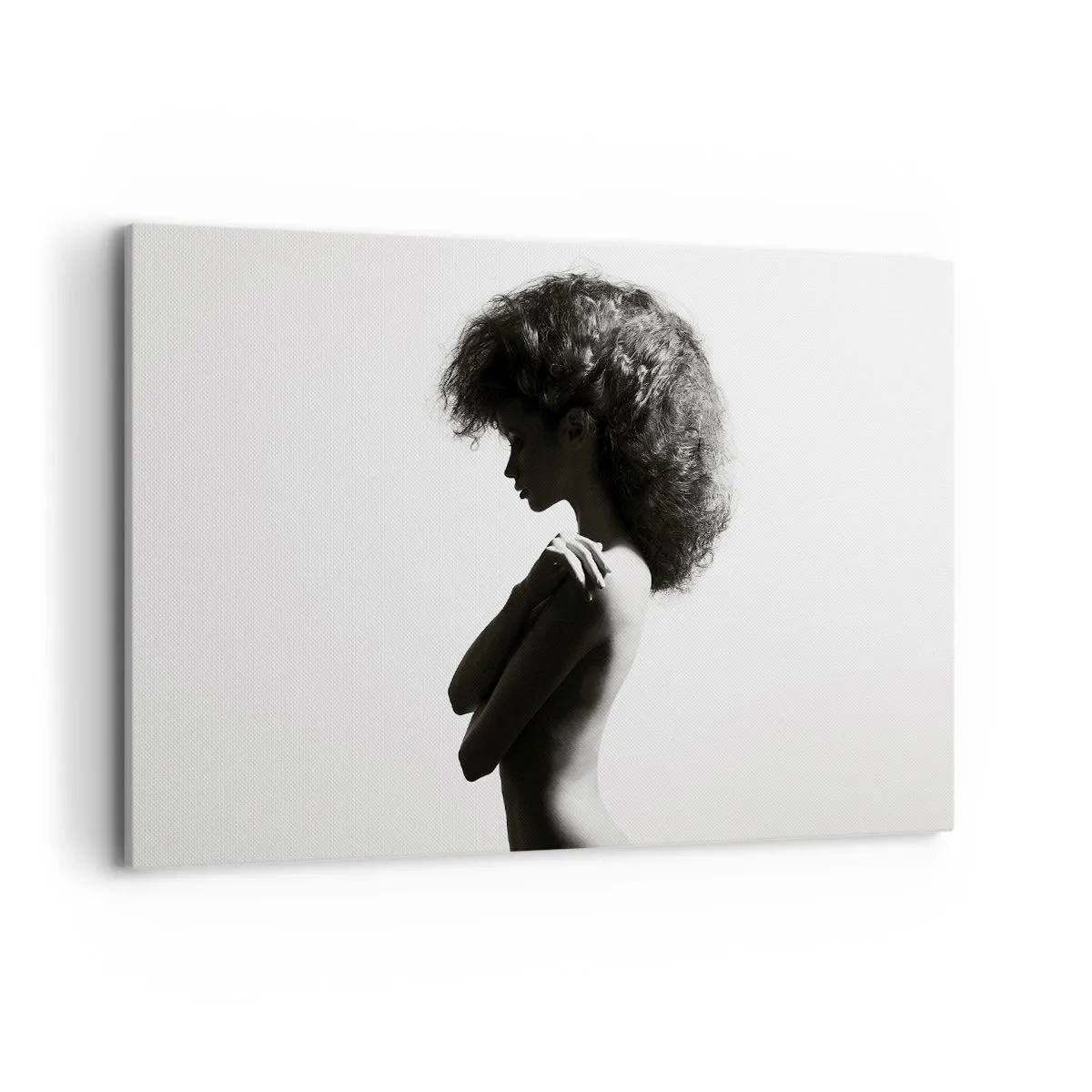 Impression sur toile - Image sur toile - Une silhouette subtile d'une femme dans des tons noirs et blancs sur un fond clair - 120x80cm - Comme une fleur au bout d'une fine tige - Décoration murale moderne pour le salon et la chambre ARTTOR