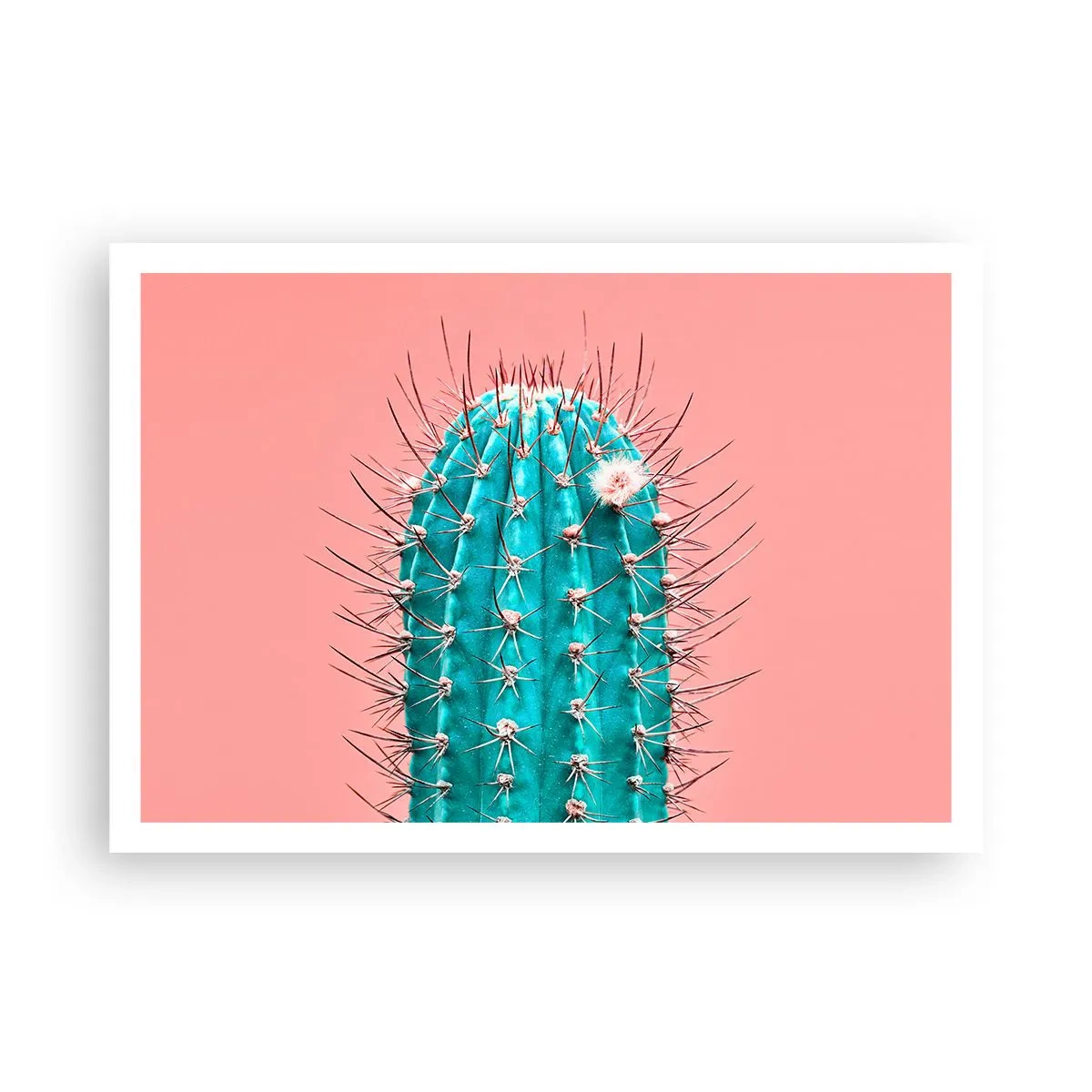 Affiche - Poster - Une interprétation artistique d'un cactus sur fond rose - 100x70cm - Juste regarde - Décoration murale moderne pour le salon et la chambre ARTTOR