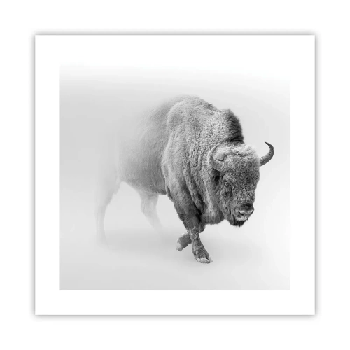 Affiche - Poster - Roi de la prairie - 40x40 cm