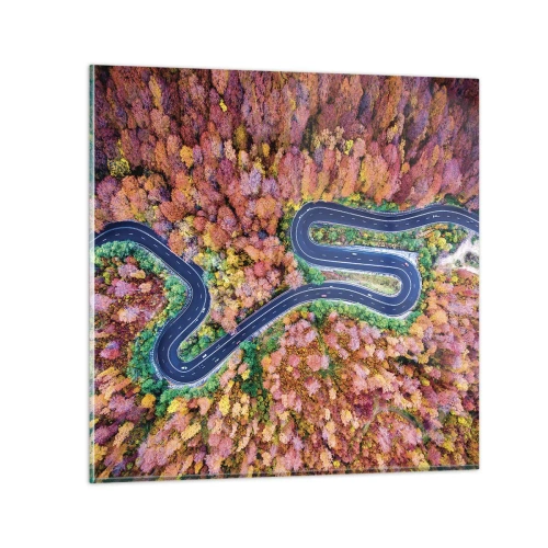 Impression sur verre - Image sur verre - Route sinueuse à travers la forêt - 70x70 cm