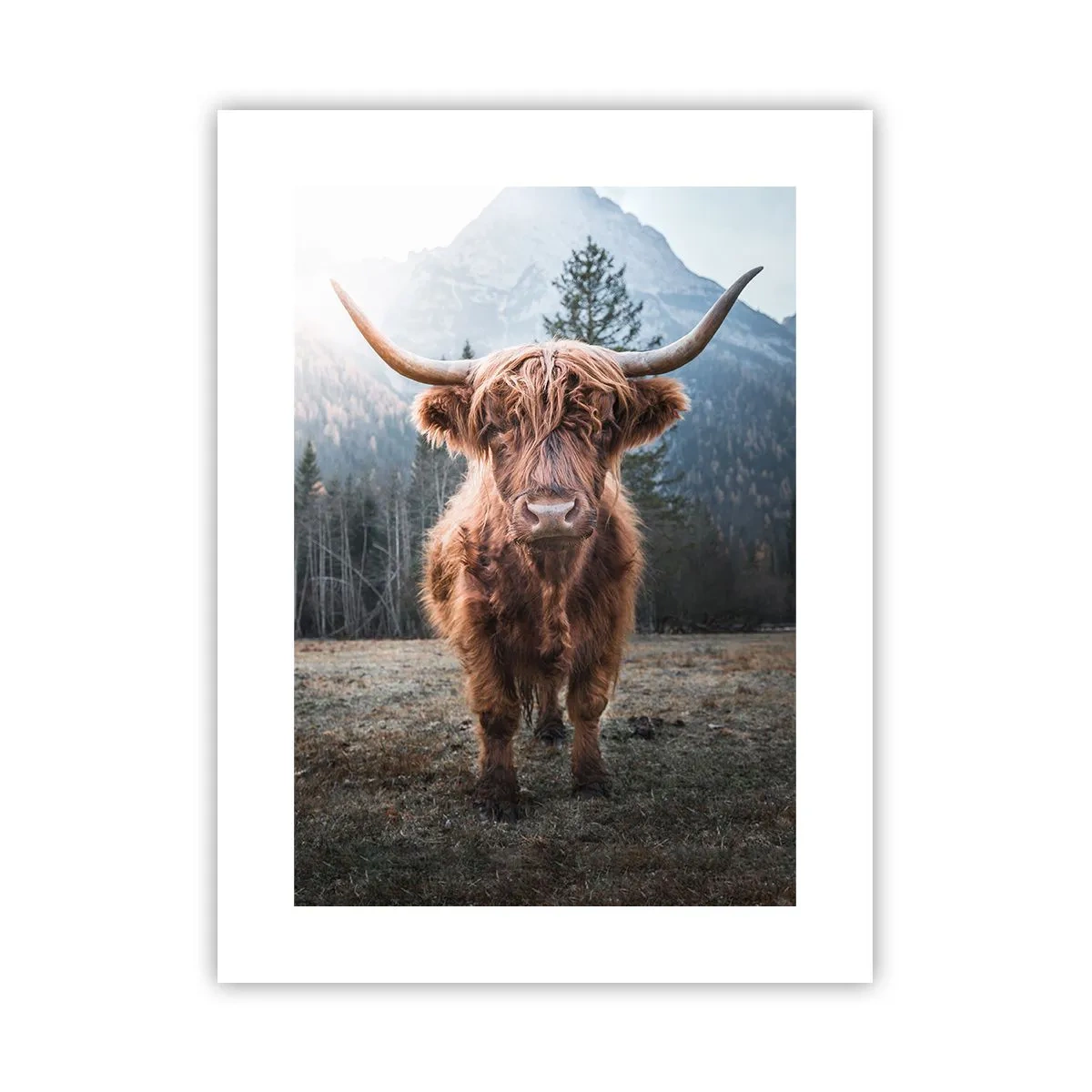 Affiche - Poster - Salutations des prairies de montagne - 30x40 cm