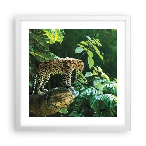 Affiche dans un cadre blanc - Poster - À la chasse? - 40x40 cm