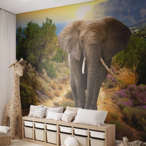Papier Peint Photo Standard Eco - Voilà à quoi ressemblait l'Eden - Animaux, Éléphant, Safari - 350x256 cm