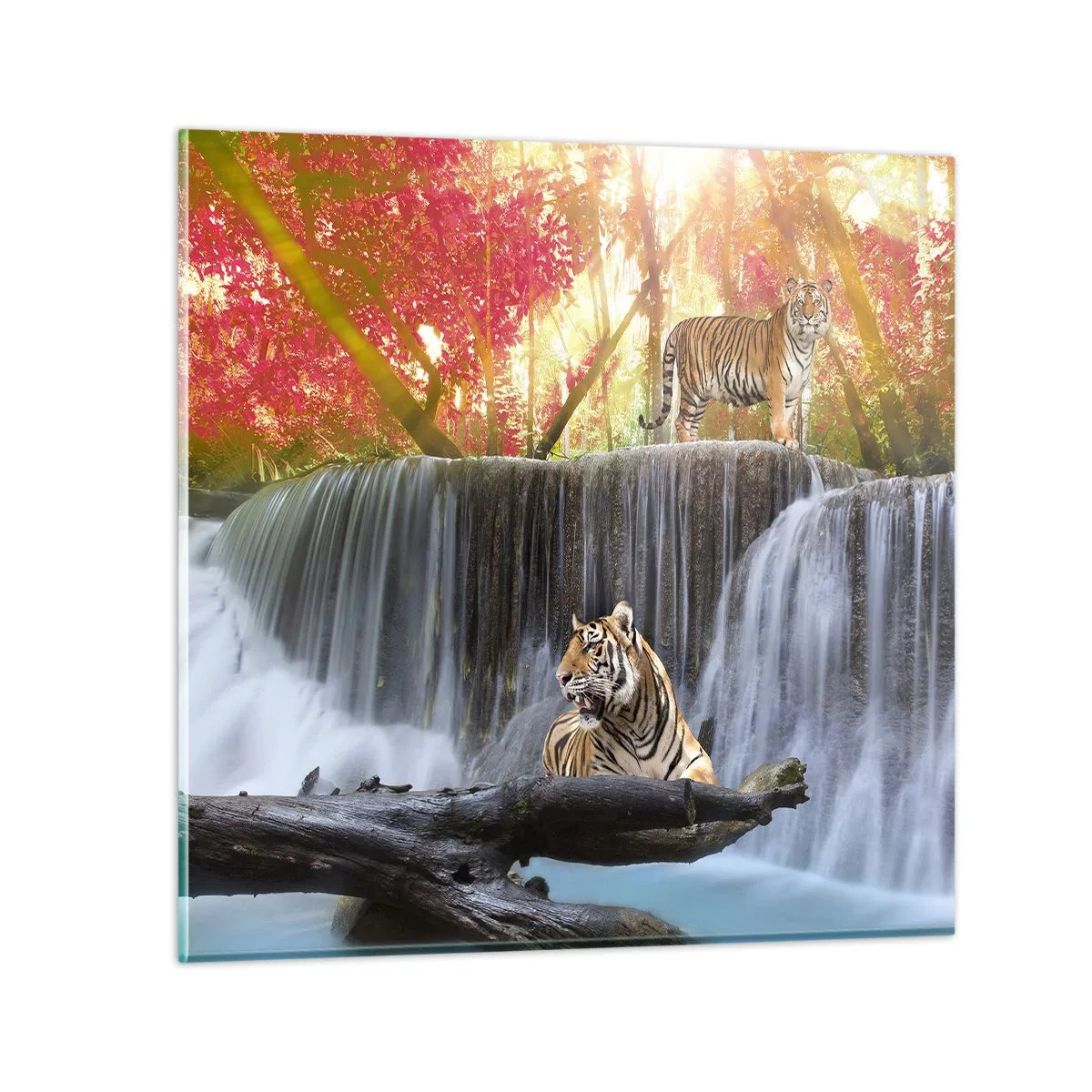 Impression sur verre - Image sur verre - Paysage surréaliste - 40x40 cm