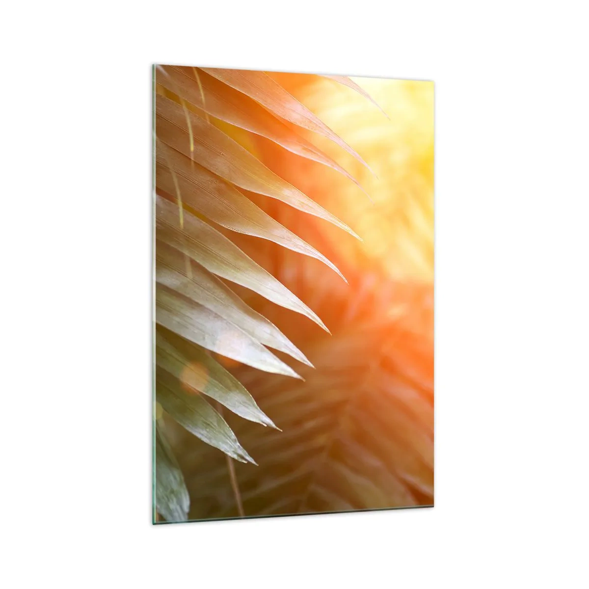 Impression sur verre - Image sur verre - Feuilles de palmier dans les rayons du soleil couchant - 70x100cm - Matinée dans la jungle - Décoration murale moderne pour le salon et la chambre ARTTOR