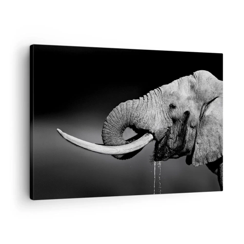 Impression sur toile - Image sur toile - Portrait noir et blanc d'un éléphant de profil - 70x50cm - Oui, c'est bon maintenant - Décoration murale moderne pour le salon et la chambre ARTTOR